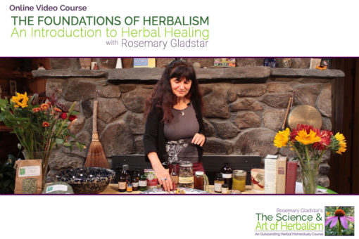 foundations of herbalism