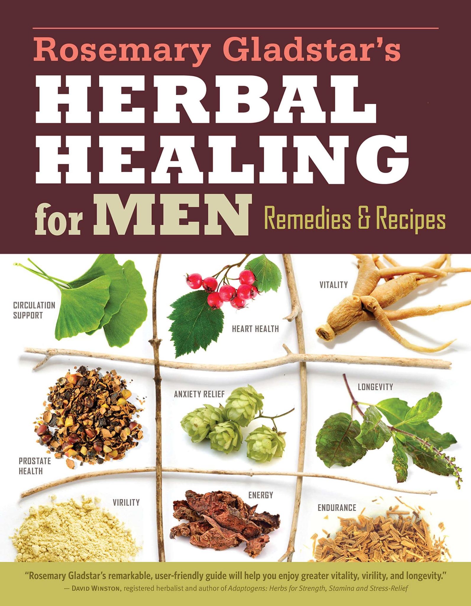 Herbal Healing for Men Front Cover