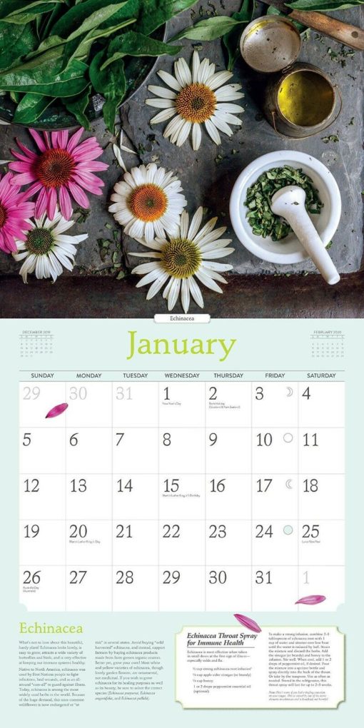 january