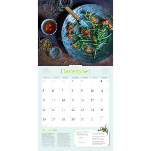 2022 calendar product image december