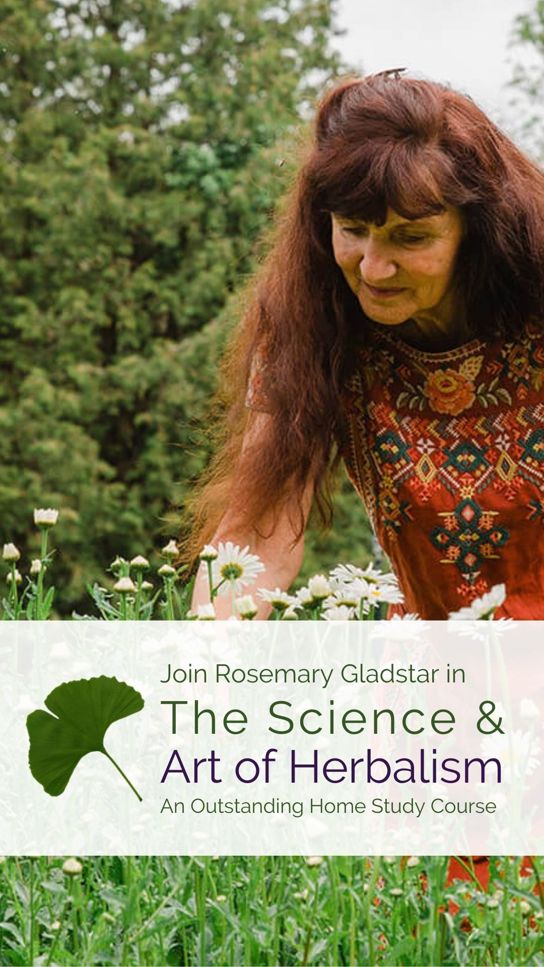 Rosemary Gladstar's Science and Art of Herbalism