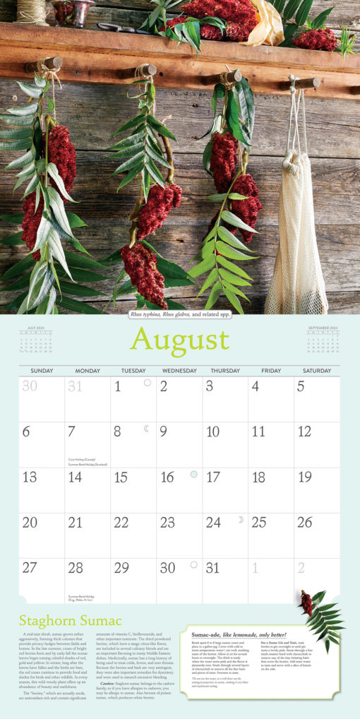 Rosemary Gladstars Herbal Calendar 2023 sample month August scaled