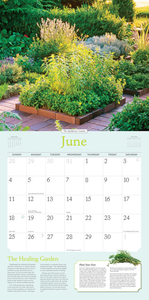 Rosemary Gladstars Herbal Calendar 2023 sample month June scaled