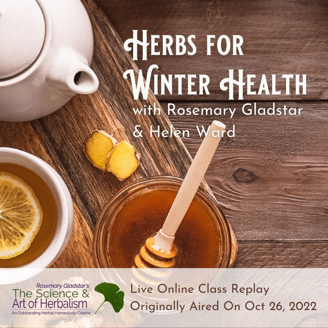 Herbs for Winter Health Live Class Replay