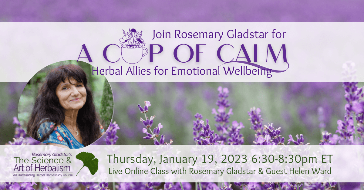 Cup of Calm Live Class with Rosemary Gladstar
