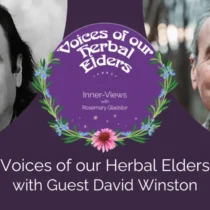 David Winston - Voices of our Herbal Elders