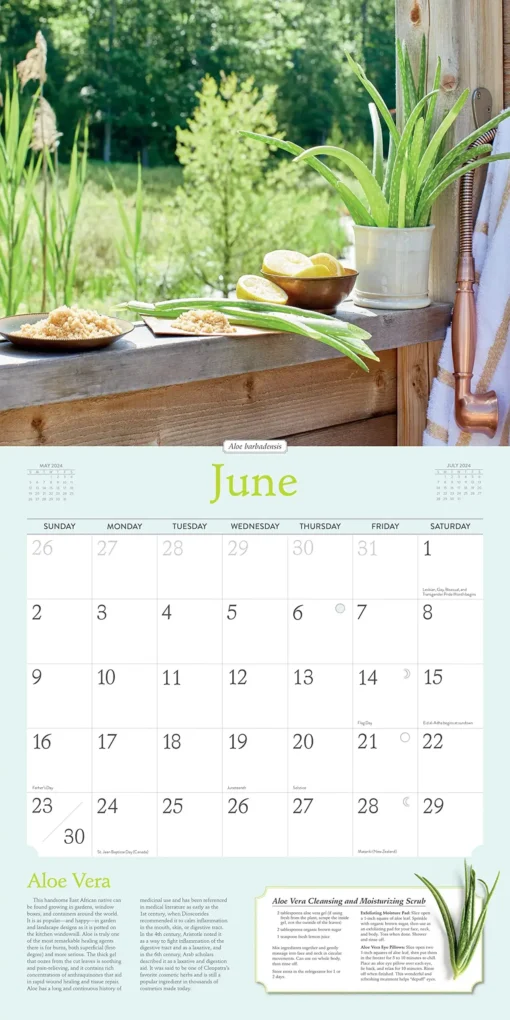 Rosemary Gladstar's Herbal Calendar 2024 June